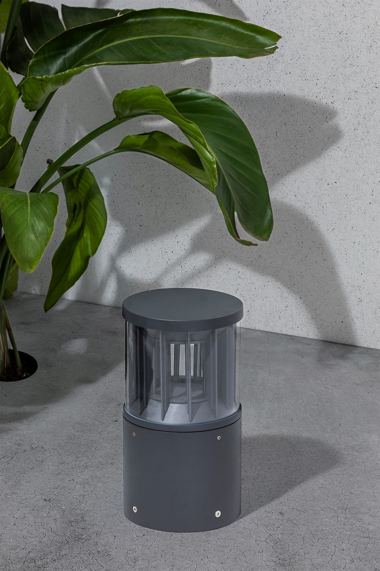 Faro SCREEN 800 Dunkelgraue Signallampe 2700K 360º. - Produktbild 4