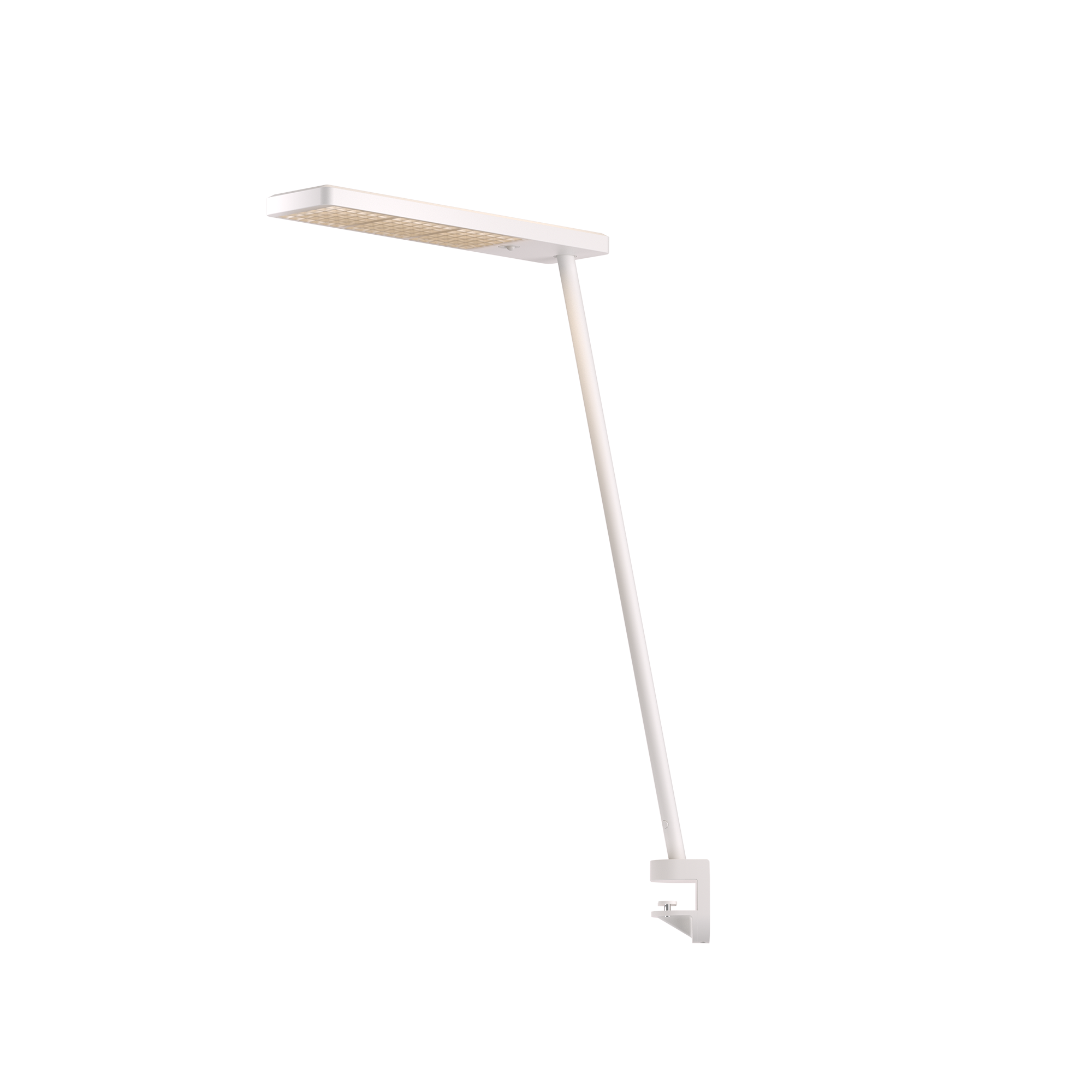 Grau Xt-a Single White/White Grau Xt-a Single White/White - Produktbild 1