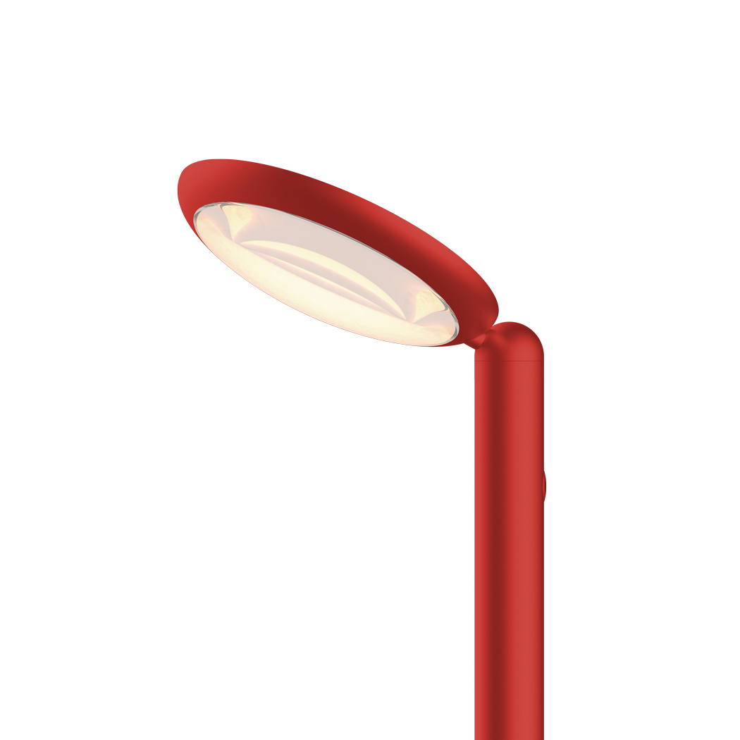 Grau Parrot Floor Red - 2
