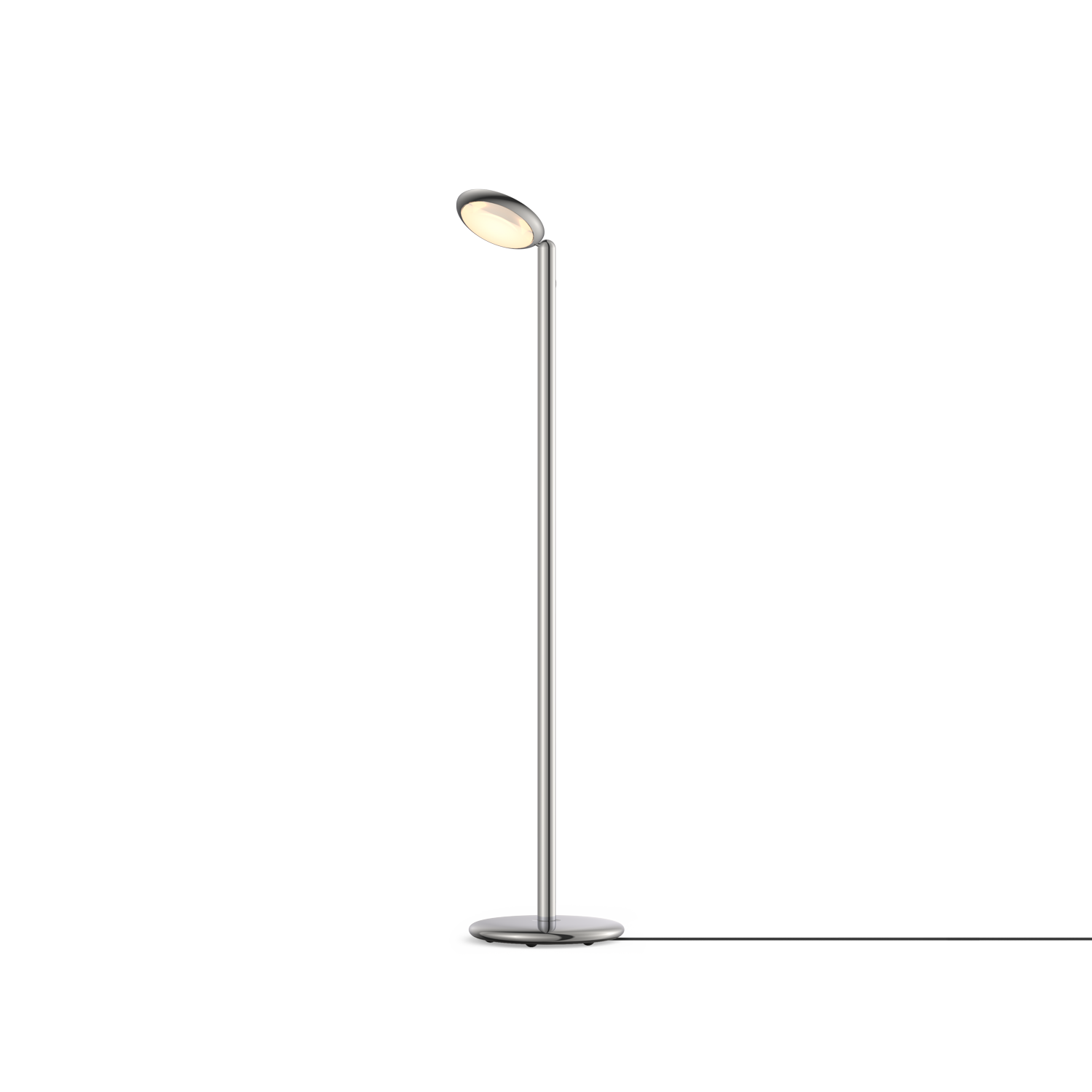 Grau Parrot Floor Polished Grau Parrot Floor Polished - 1
