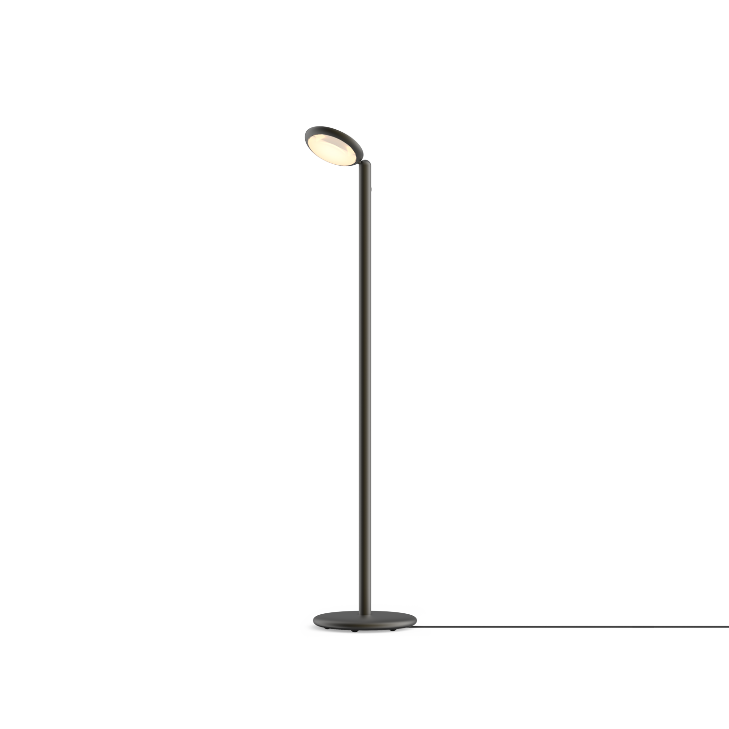 Grau Parrot Floor Black Brass Grau Parrot Floor Black Brass - 1