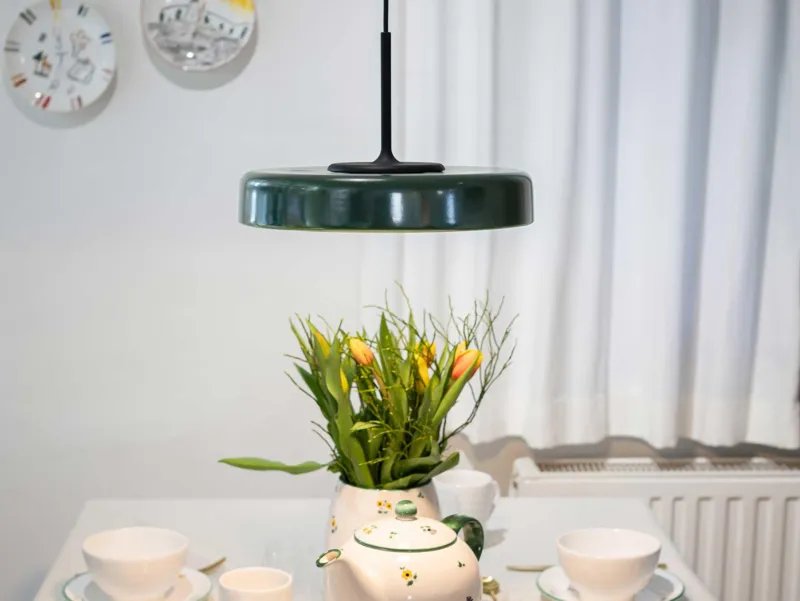 Molto Luce FRANZ PD (schwarz/omea-grün) - Produktbild 3