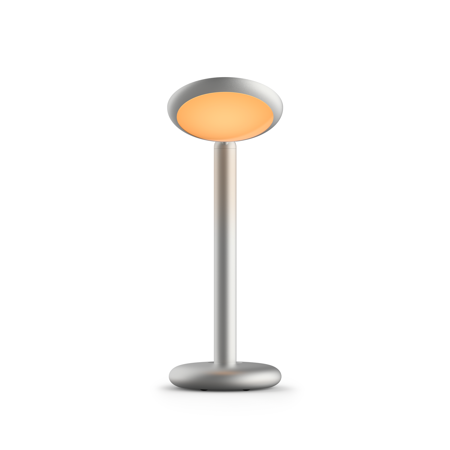 Grau Parrot Table Silver Grau Parrot Table Silver - Produktbild 1