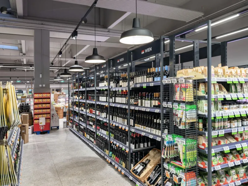 Molto Luce TRAIL ARTIS 1 (grau) - Produktbild 3