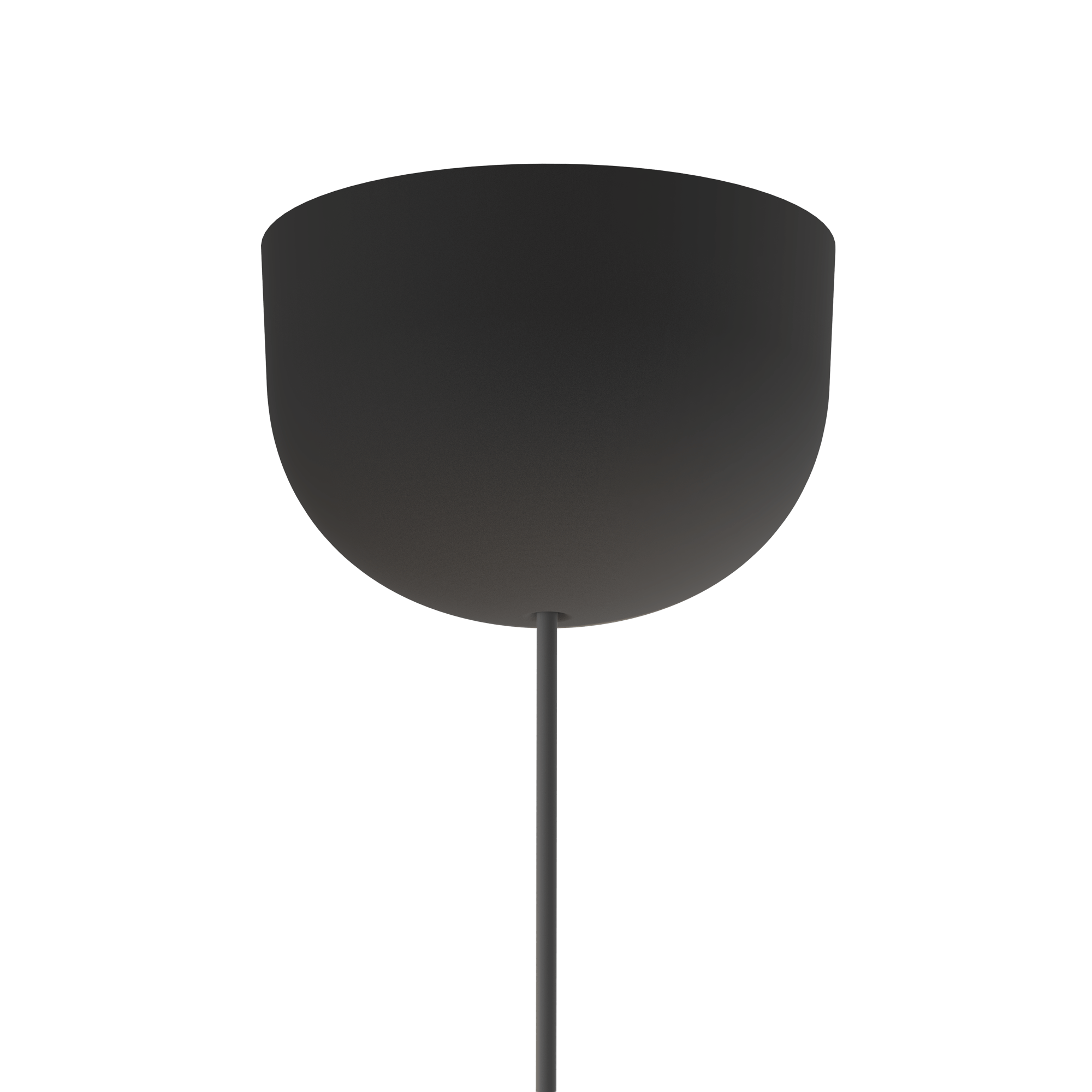 Grau Niceone Black/Black - 2