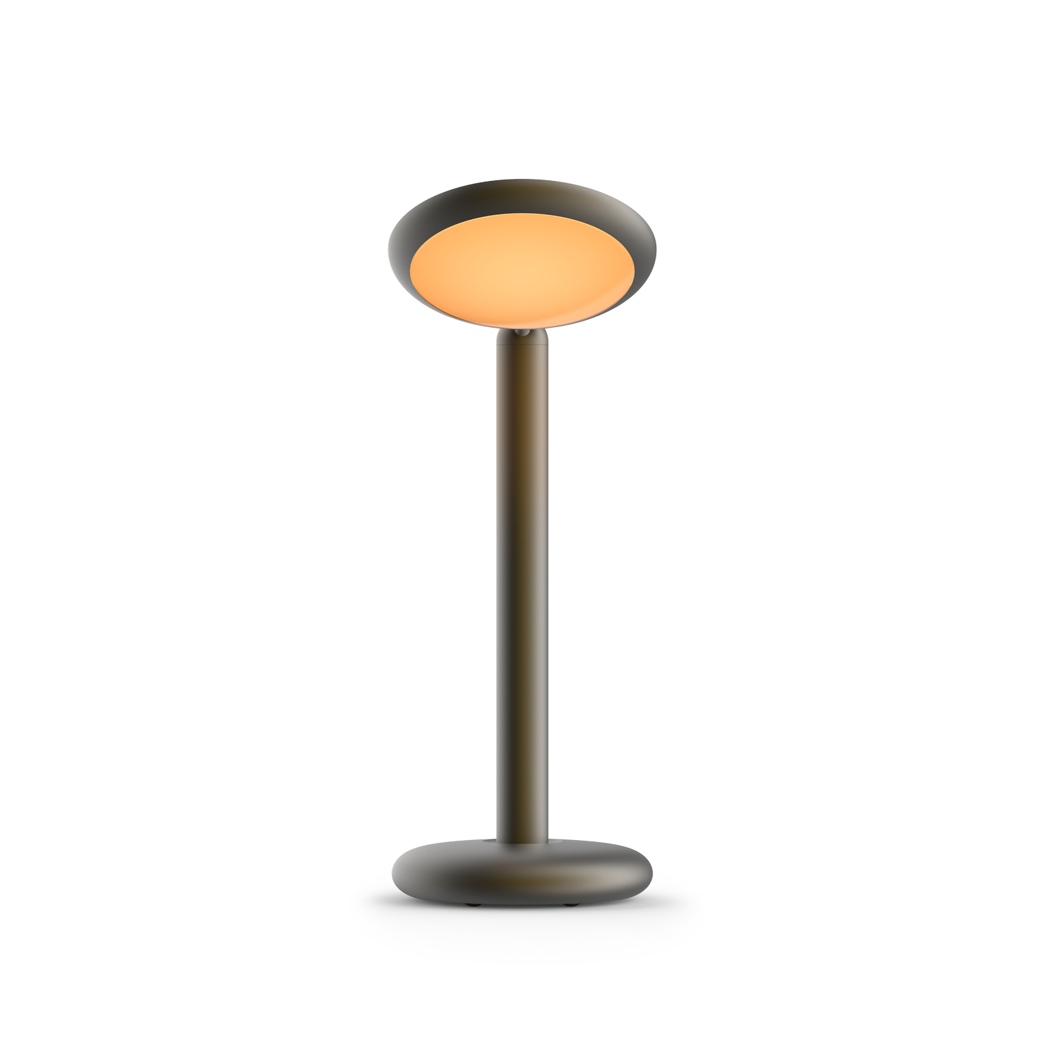 Grau Parrot Table Black Brass Grau Parrot Table Black Brass - Produktbild 1