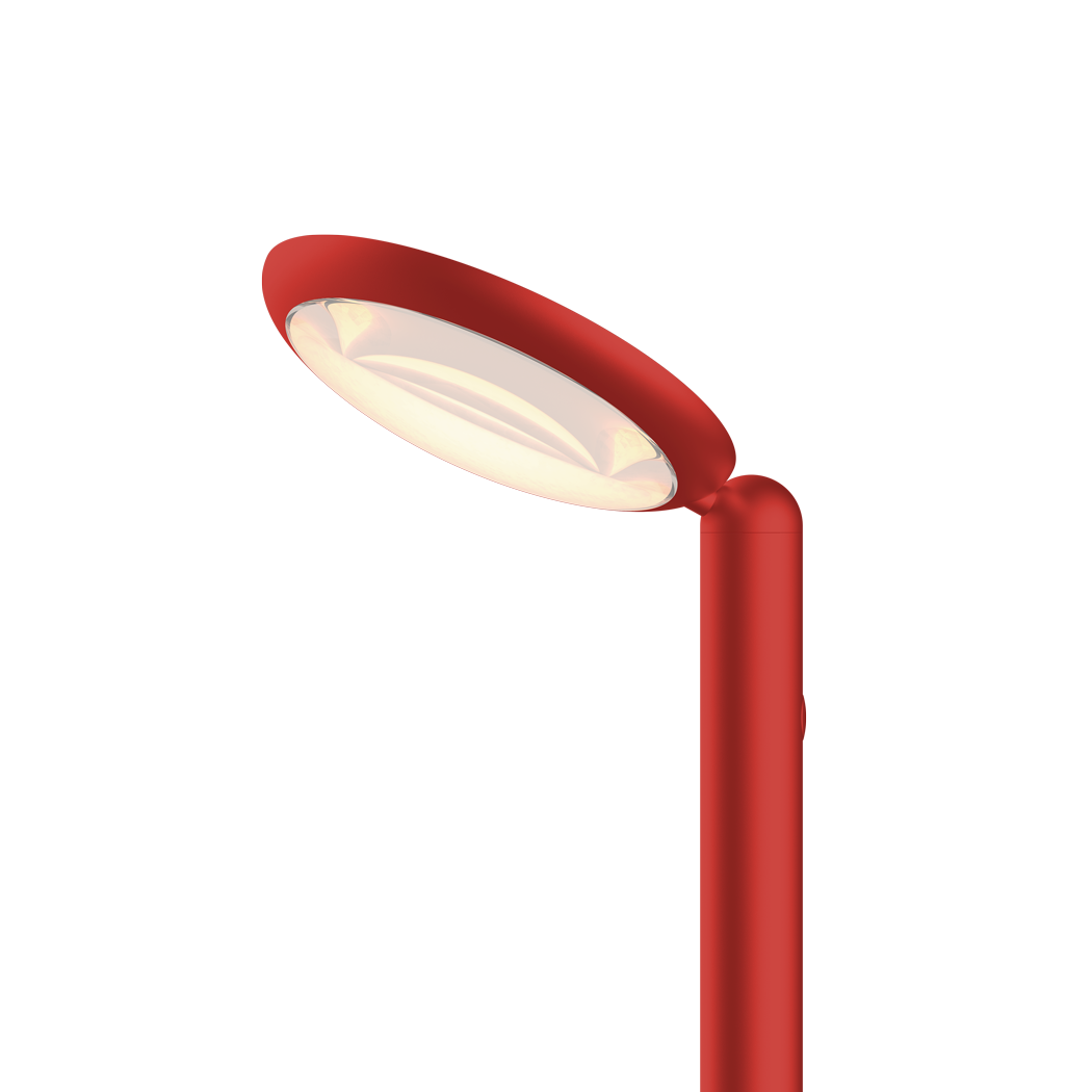 Grau Parrot Table Red - 2