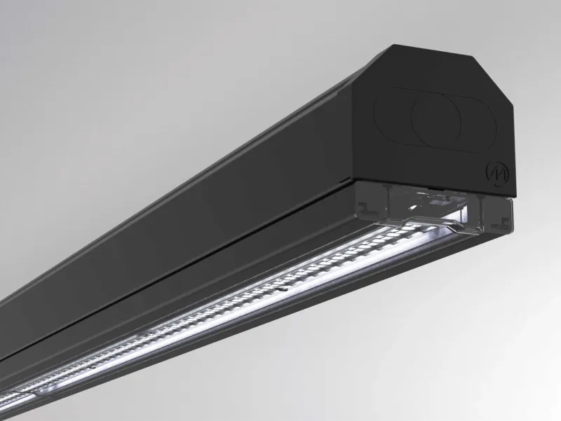 Molto Luce TRAIL LIGHT INSERT DA (schwarz) - Produktbild 3