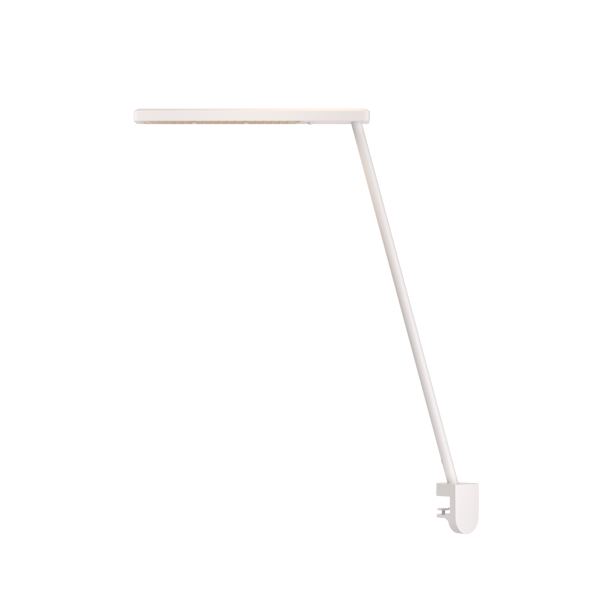 Grau Xt-a Single White/White - Produktbild 2