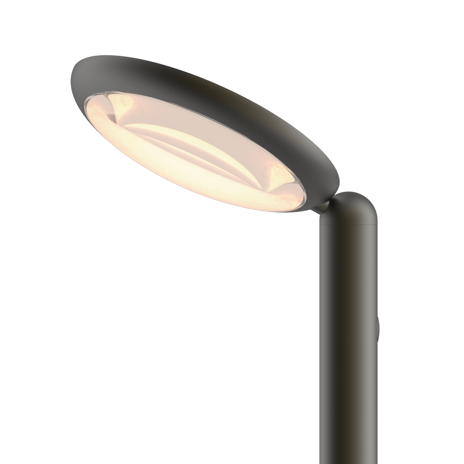 Grau Parrot Floor Black Brass - 2