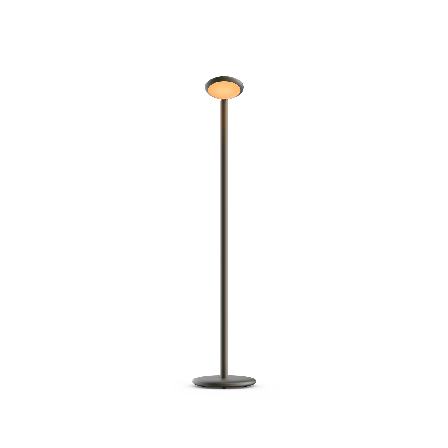 Grau Parrot Floor Black Brass - 5