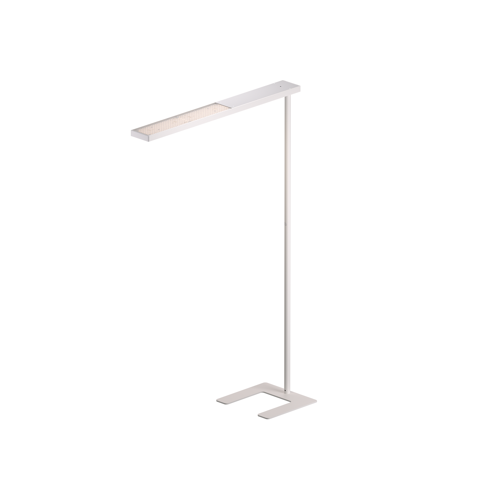 Grau Xt-a Plus 120 White/White - 3