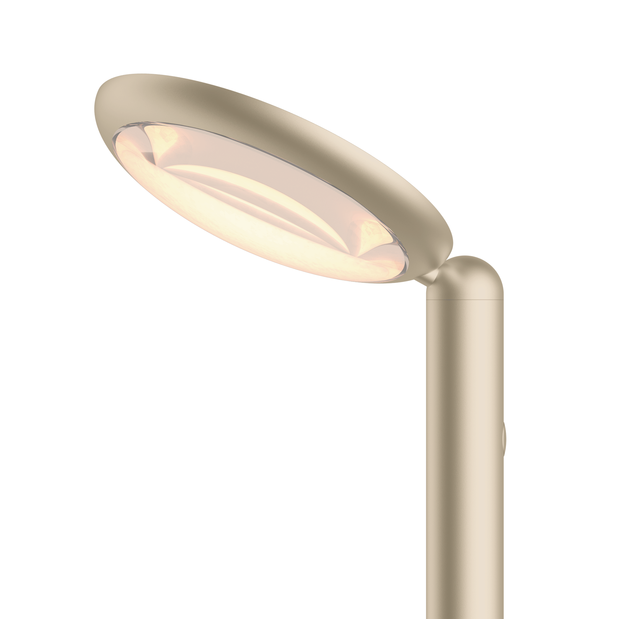 Grau Parrot Floor Dune - 2