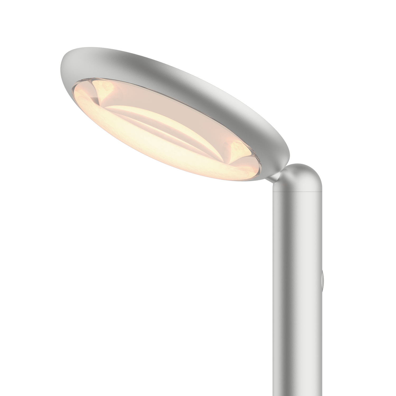 Grau Parrot Floor Silver - 2