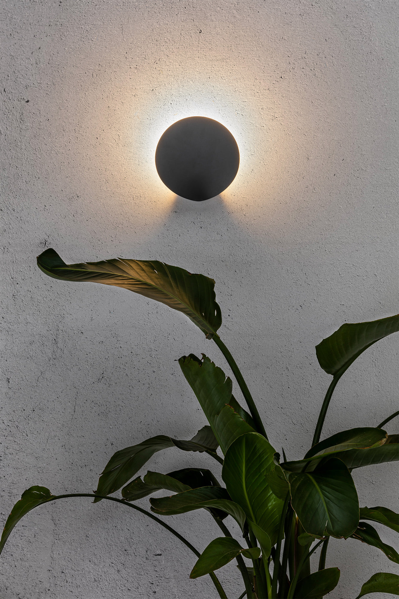 Faro LOTUS Wandleuchte dunkelgrau - Produktbild 2