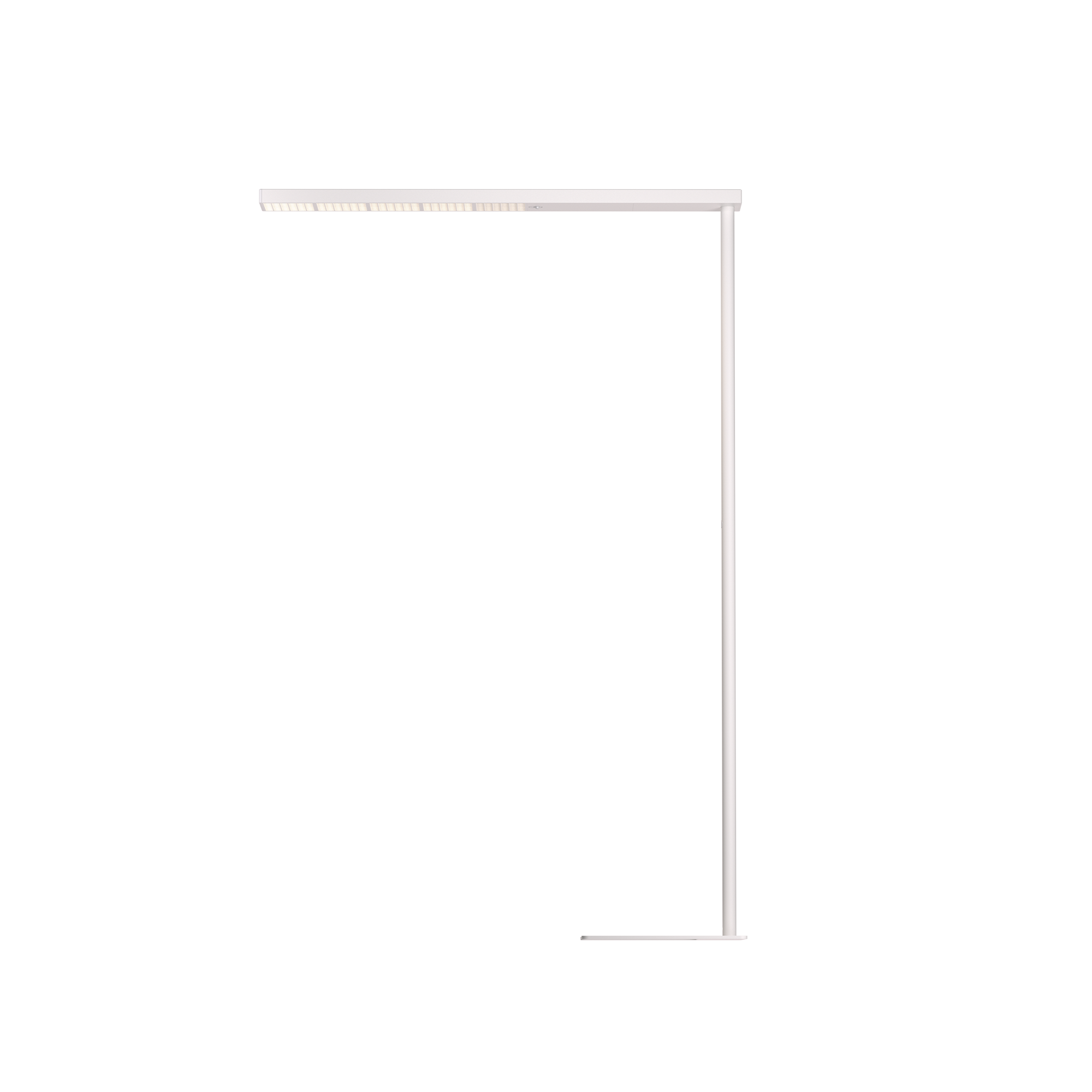 Grau Xt-a Plus 120 White/White - 2