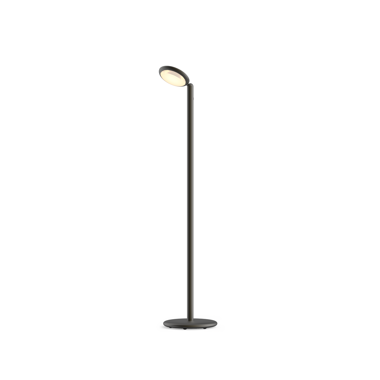 Grau Parrot Floor Black Brass Grau Parrot Floor Black Brass - 1