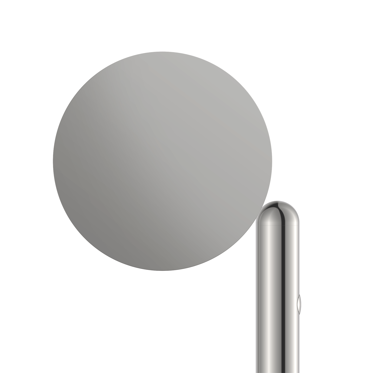 Grau Parrot Floor Polished - Produktbild 4