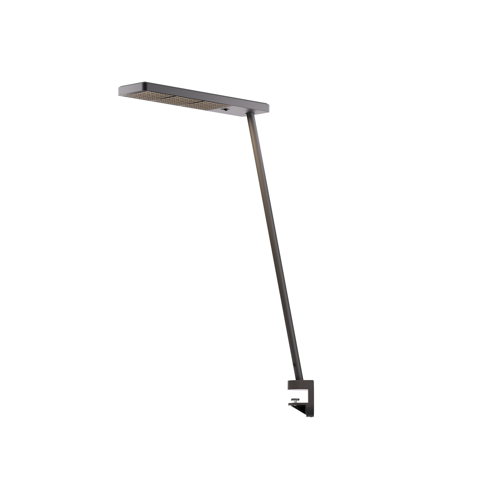 Grau Xt-a Single Black/Black Grau Xt-a Single Black/Black - Produktbild 1